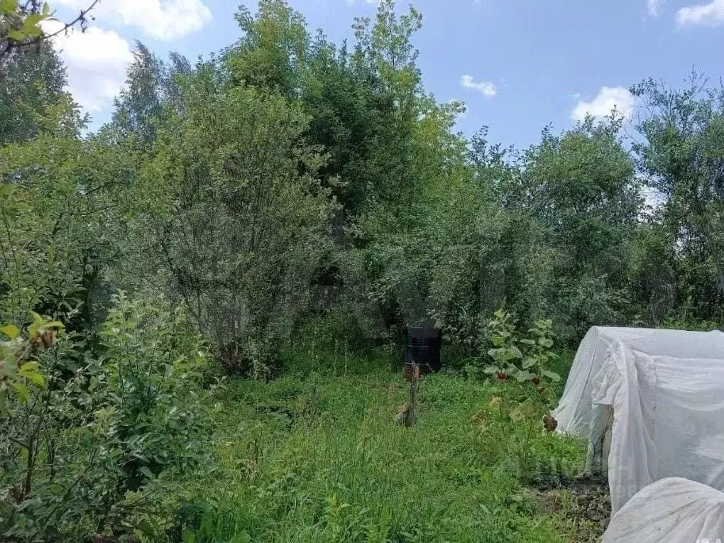 Участок в Татарстан, Лаишевский район, с. Сокуры Дачная ул. (12.0 ... - Фото 0