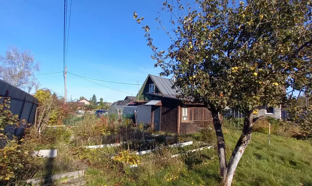 Дом в Ленинградская область, Кировское городское поселение, Беляевский ... - Фото 2
