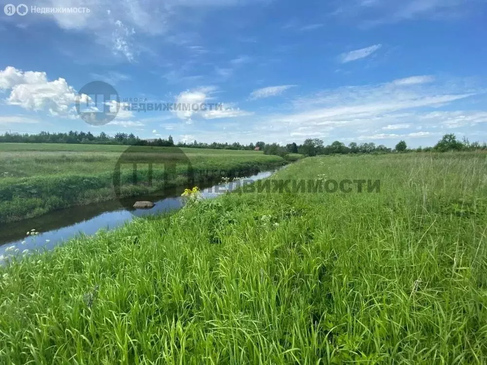 Участок в Ленинградская область, Гатчинский муниципальный округ, ... - Фото 1