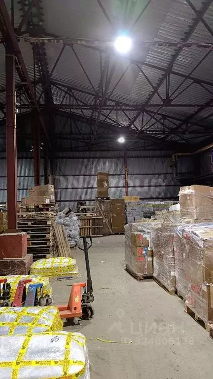 Склад в Новосибирская область, Новосибирск ул. Мира, 58А (1301 м) - Фото 2