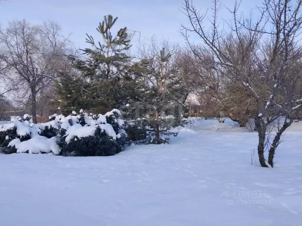 Дом в Белгородская область, Новооскольский муниципальный округ, с. ... - Фото 1