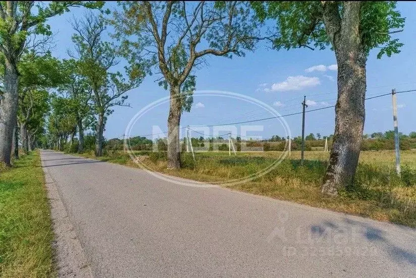 Участок в Калининградская область, Гурьевский муниципальный округ, ... - Фото 1