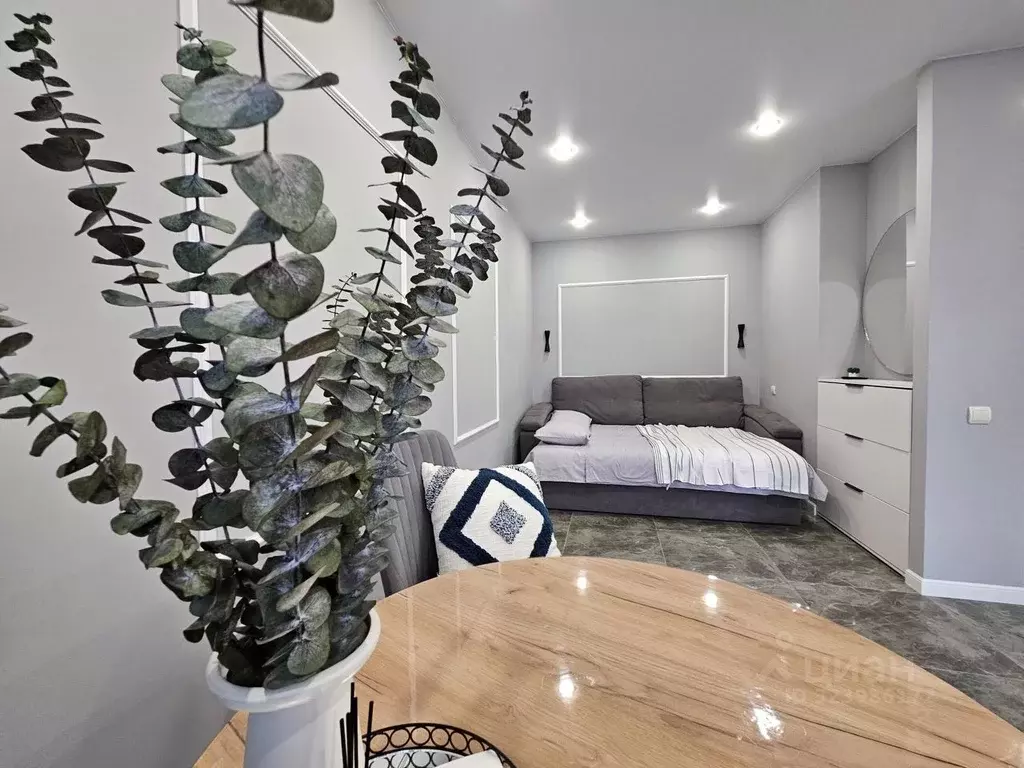 1-к кв. Татарстан, Казань ул. Лушникова, 2 (30.0 м) - Фото 1