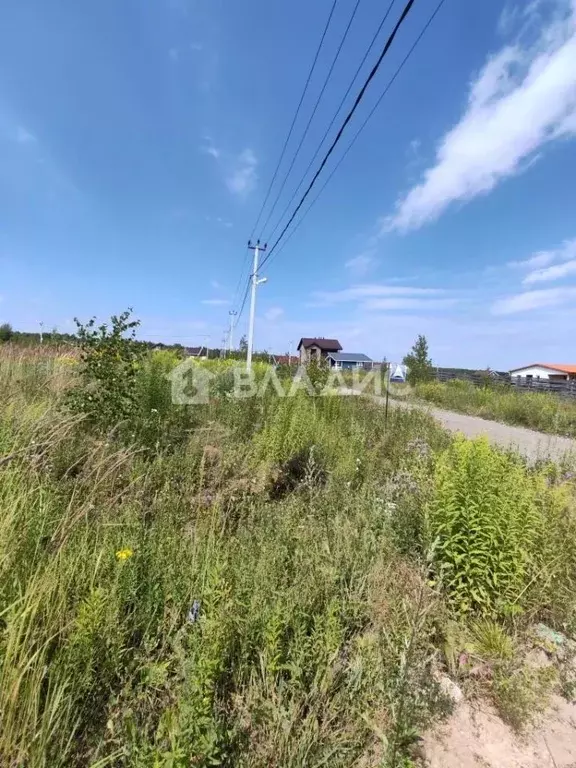 Участок в Нижегородская область, Богородский муниципальный округ, д. ... - Фото 1