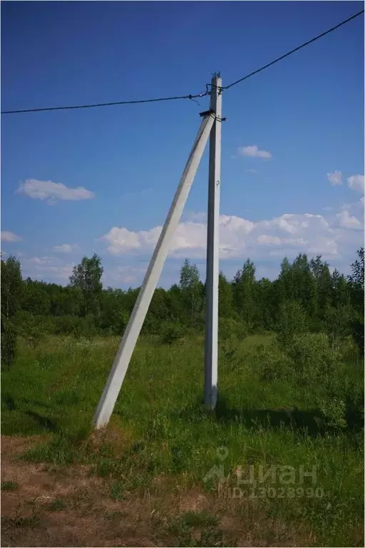 Участок в Псковская область, Опочецкий район, д. Пуршево  (2860.0 ... - Фото 1