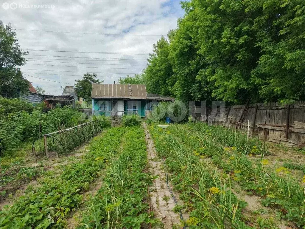 Дом в Новосибирск (30 м) - Фото 0