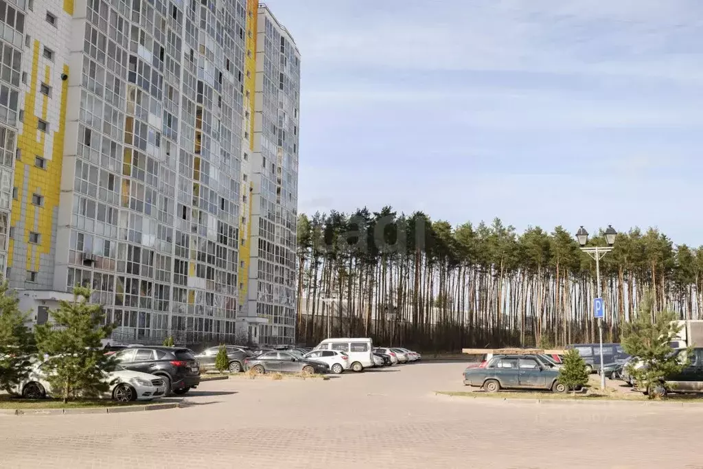 Студия Тверская область, Тверь ул. Фрунзе, 2к1 (28.7 м) - Фото 0
