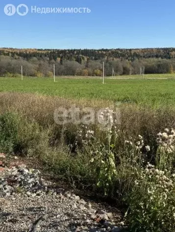 Участок в Пермь, Вятская улица (13.7 м) - Фото 2