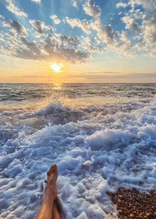 Комната Краснодарский край, Сочи пос. Вардане, ул. Фруктовая, 6А - Фото 1