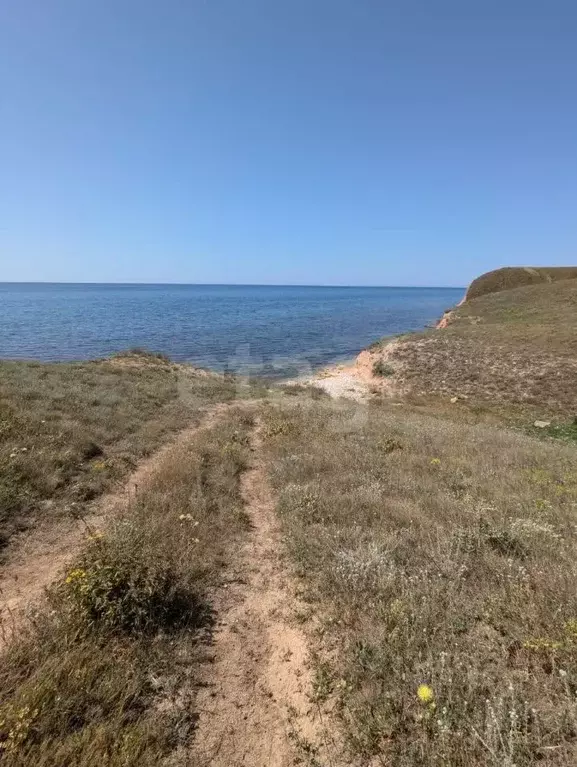 Участок в Крым, Черноморский район, с. Окуневка ул. Героев СВО (6.0 ... - Фото 2
