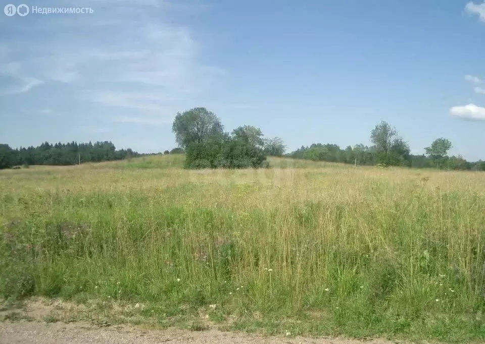 Участок в село Никольское, Подлесная улица (20 м) - Фото 2