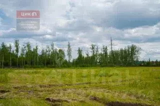 Участок в Рязанская область, Рязанский муниципальный округ, д. ... - Фото 2