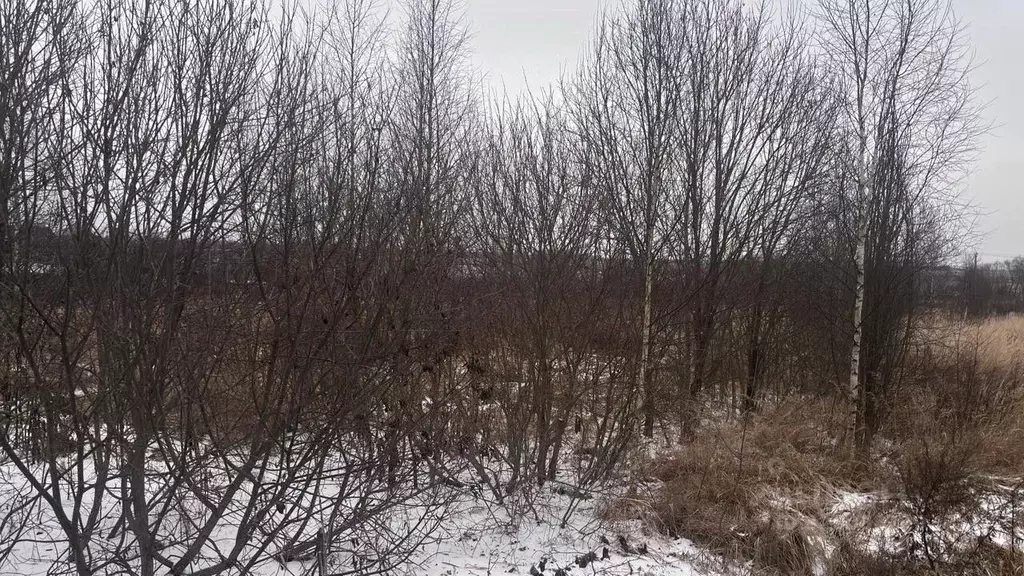 Участок в Московская область, Клин городской округ, д. Ватолино  (15.0 ... - Фото 2