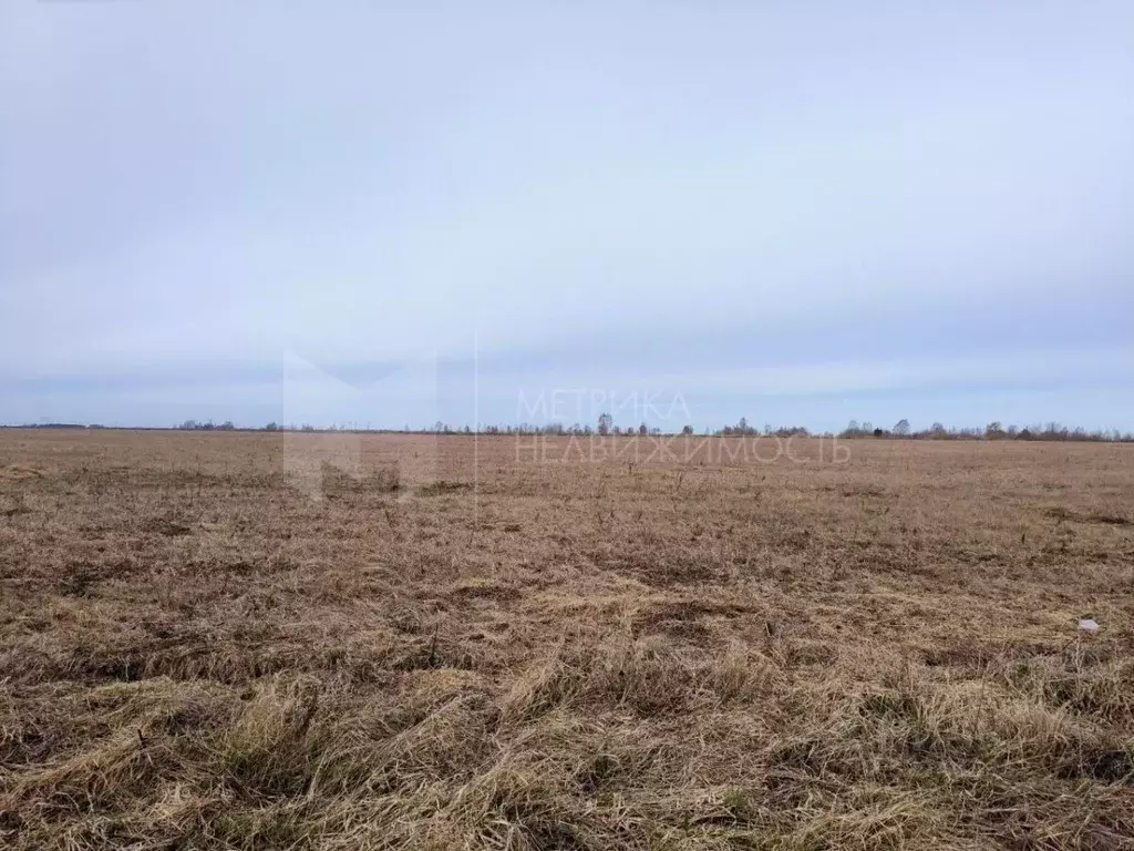 Участок в Тюменская область, Тюмень Центральная пл. (7.0 сот.) - Фото 1