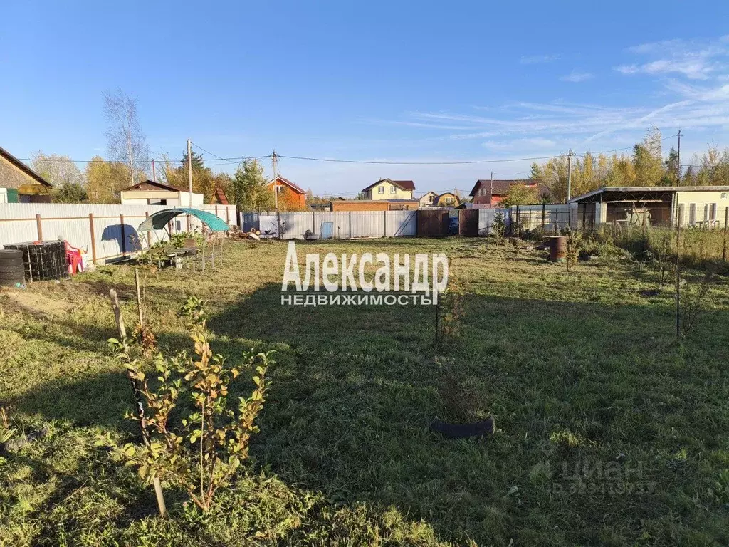 Участок в Ленинградская область, Кировский район, Синявинское ... - Фото 2