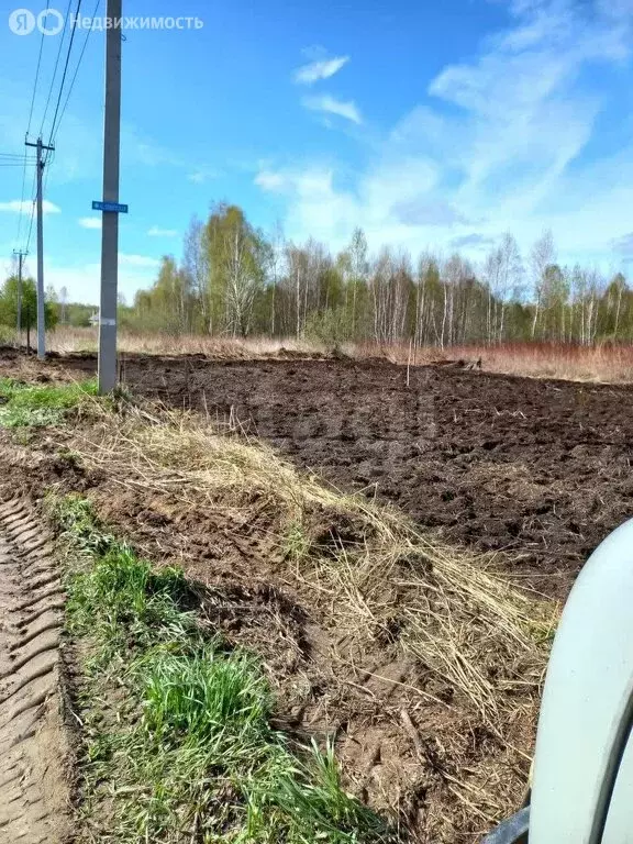 Участок в Нижнетавдинский район, садовое товарищество Моторостроитель, ... - Фото 0