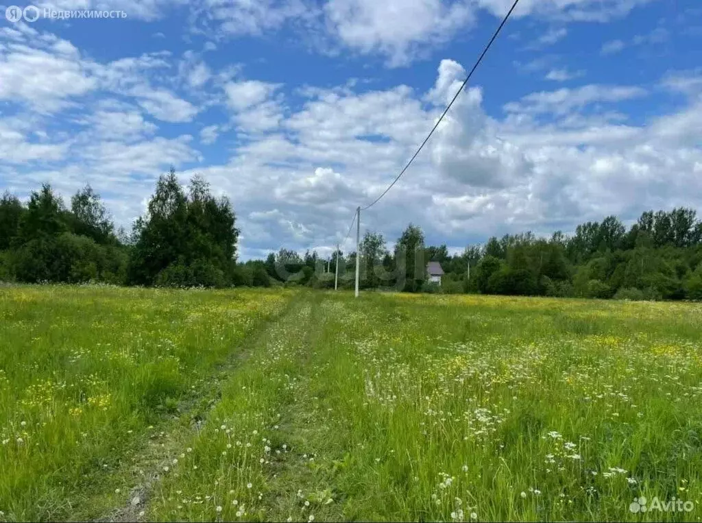 Участок в Ярославская область, Некрасовский муниципальный округ, ... - Фото 0