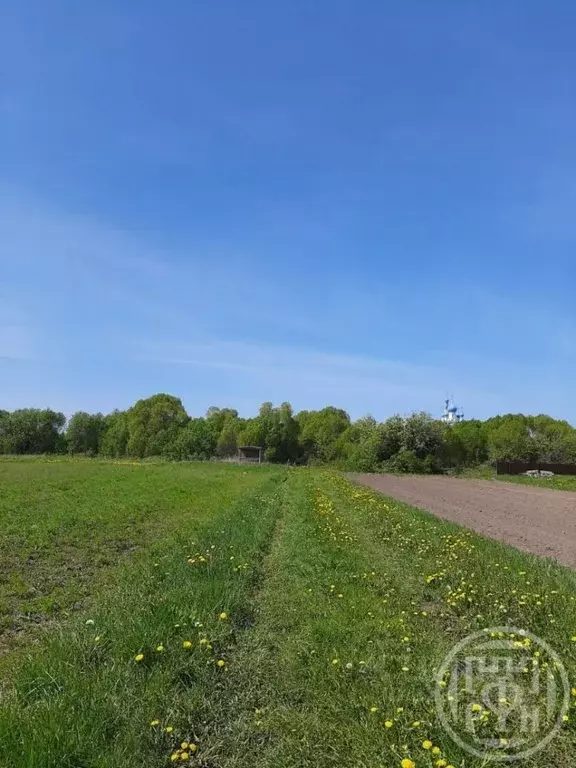 Участок в Псковская область, Гдовский район, Юшкинская волость, д. ... - Фото 2