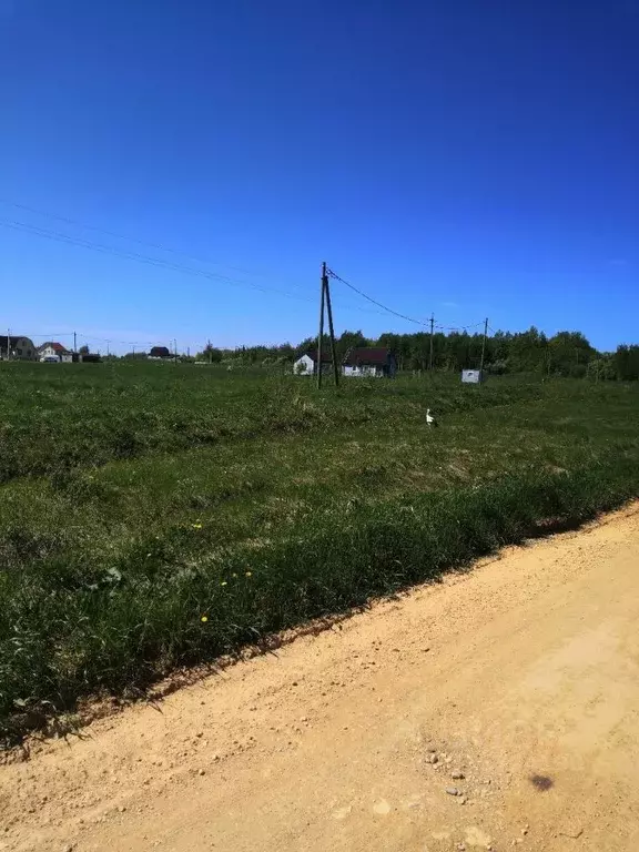 Участок в Новгородская область, Шимский район, Подгощское с/пос, д. ... - Фото 1