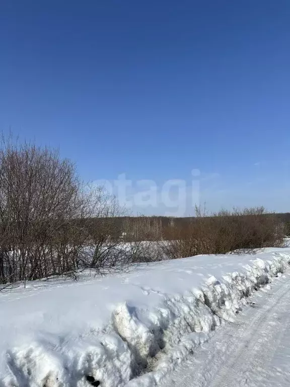 Участок в Мордовия, Саранск городской округ, пос. Добровольный ул. ... - Фото 2