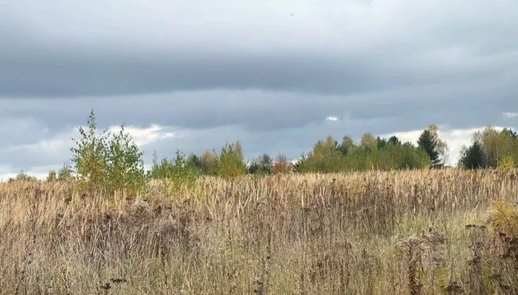 Участок в Московская область, Кашира городской округ, д. Колтово  ... - Фото 0