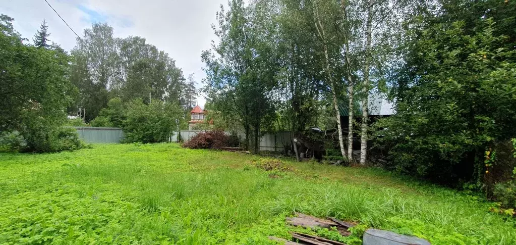 Участок в Ленинградская область, Гатчинский район, Вырица городской ... - Фото 1