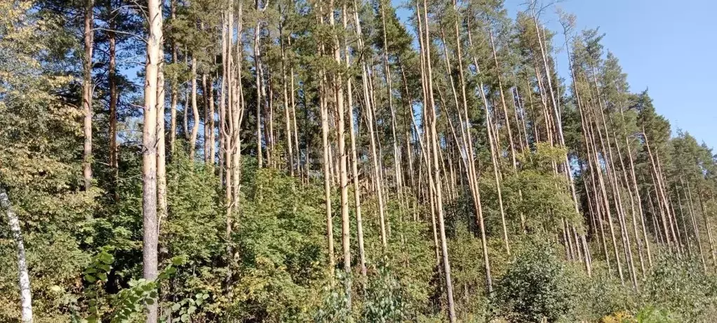 Участок в Тульская область, Тула городской округ, д. Самылинка, ... - Фото 0