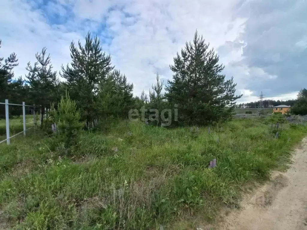 Участок в Владимирская область, Муром с. Лазарево, ул. Советская (12.0 ... - Фото 0