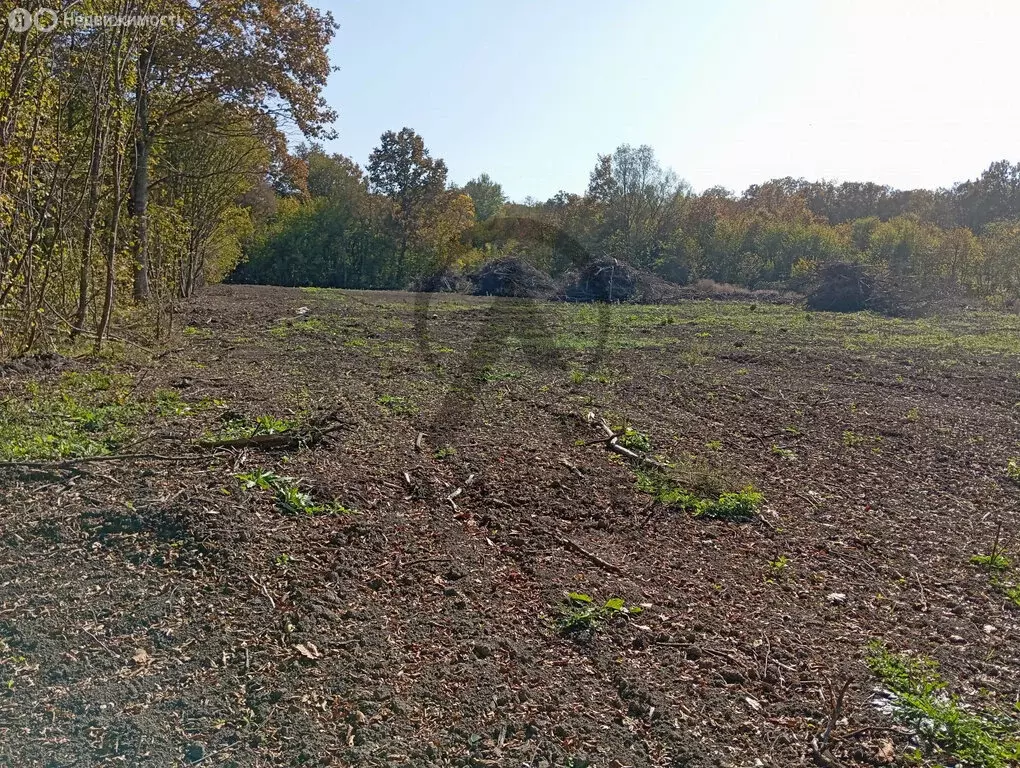 Участок в Хадыженск, Самарская улица, 74 (7 м) - Фото 2