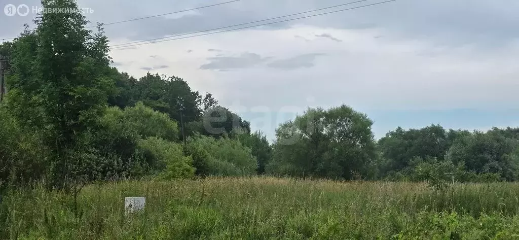 Участок в Калининградская область, Багратионовский муниципальный ... - Фото 1