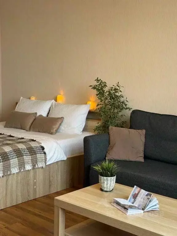 1-к кв. Нижегородская область, Нижний Новгород бул. Мира, 7 (55.0 м) - Фото 1