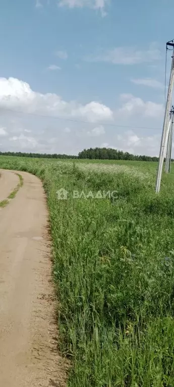 Участок в Калужская область, Боровский муниципальный округ, д. Фатеево ... - Фото 2