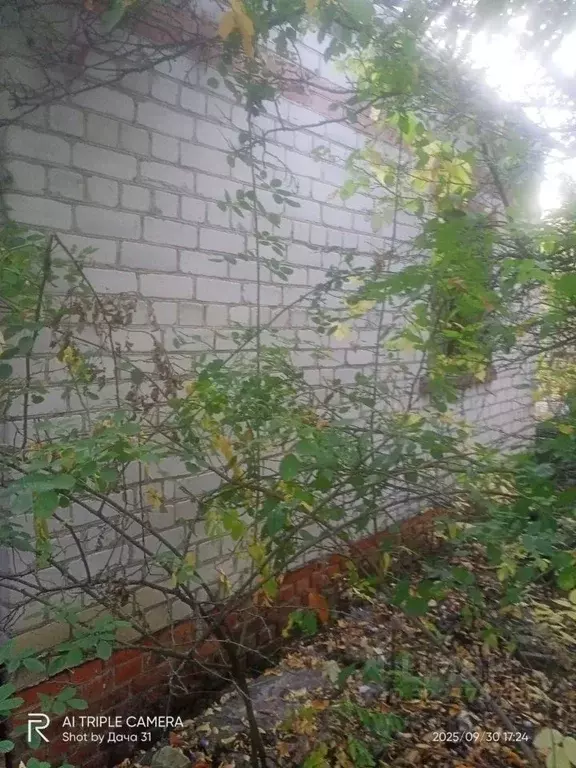 Участок в Белгородская область, Белгородский район, Беломестненское ... - Фото 2