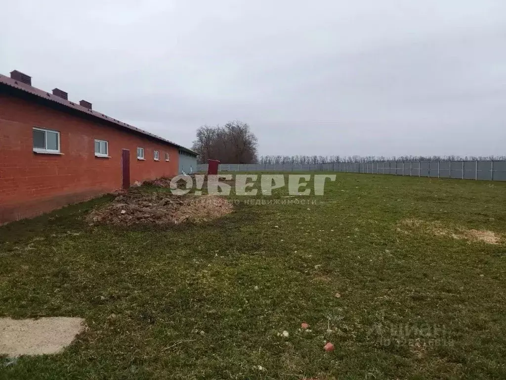 Производственное помещение в Краснодарский край, Каневской район, ... - Фото 2