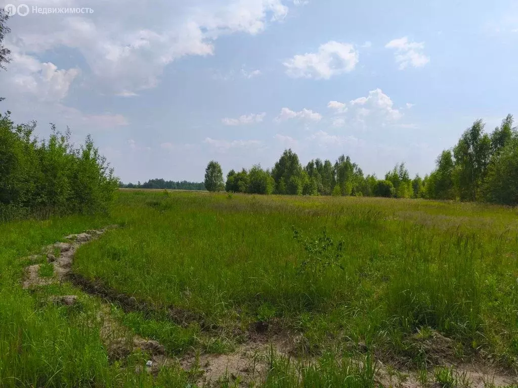 Участок в Московская область, Раменский муниципальный округ, ... - Фото 1