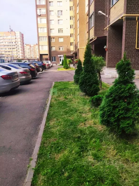 1-к кв. Тамбовская область, Тамбов Мичуринская ул., 213Б (39.2 м) - Фото 1