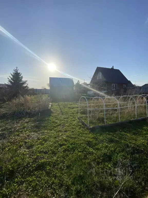 Дом в Курганская область, Кетовский муниципальный округ, д. Костоусово ... - Фото 1