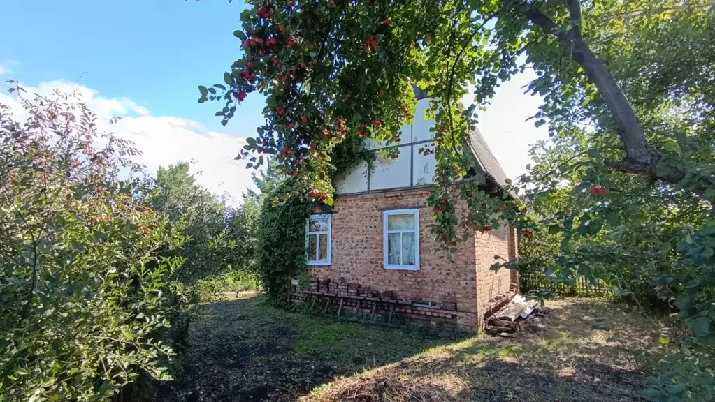 Дом в Омская область, Омск СНТ Ромашка ТСН, аллея 13-я (25 м) - Фото 1