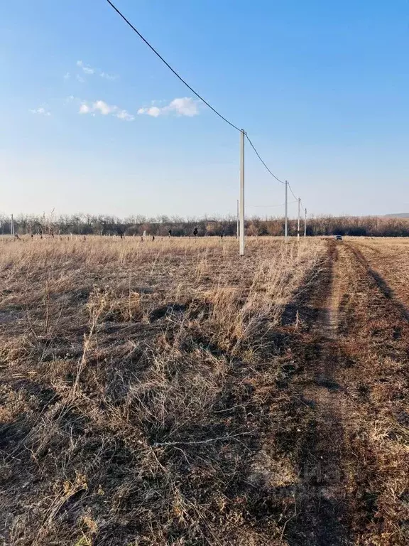 Участок в Воронежская область, Семилукский район, Губаревское с/пос, ... - Фото 1