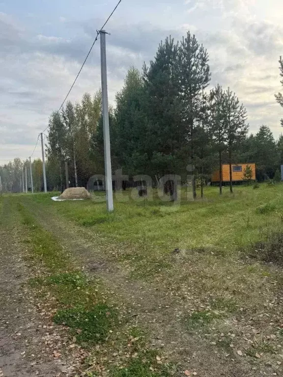 Участок в Курганская область, Кетовский муниципальный округ, с. ... - Фото 1