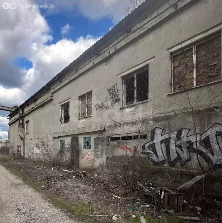 Помещение свободного назначения (314.8 м) - Фото 1