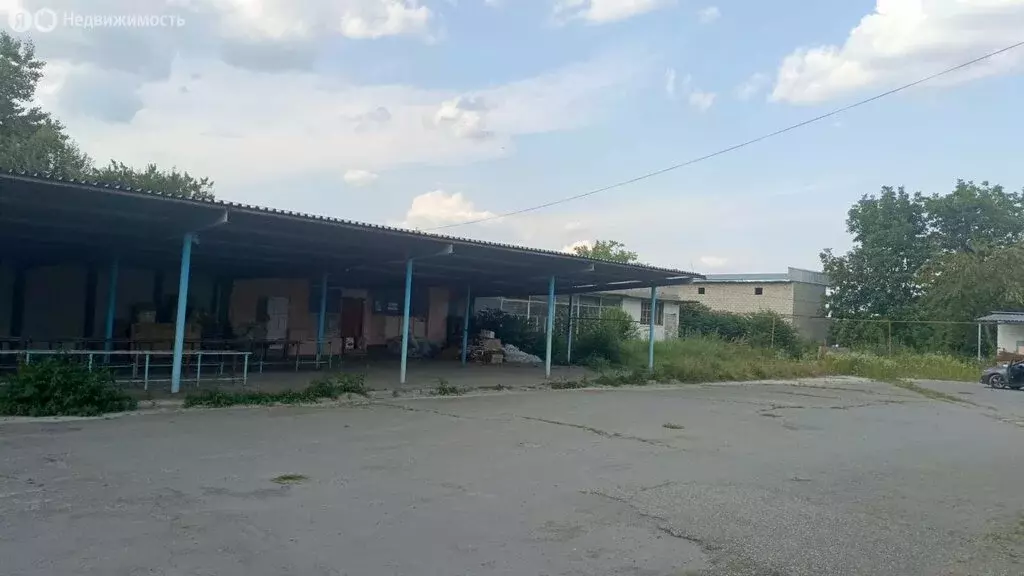 Помещение свободного назначения (1017 м) - Фото 2