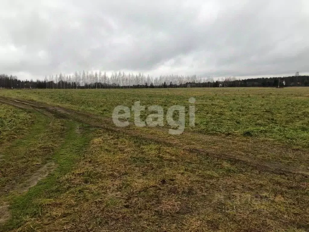 Участок в Костромская область, Красное-на-Волге городское поселение, ... - Фото 0