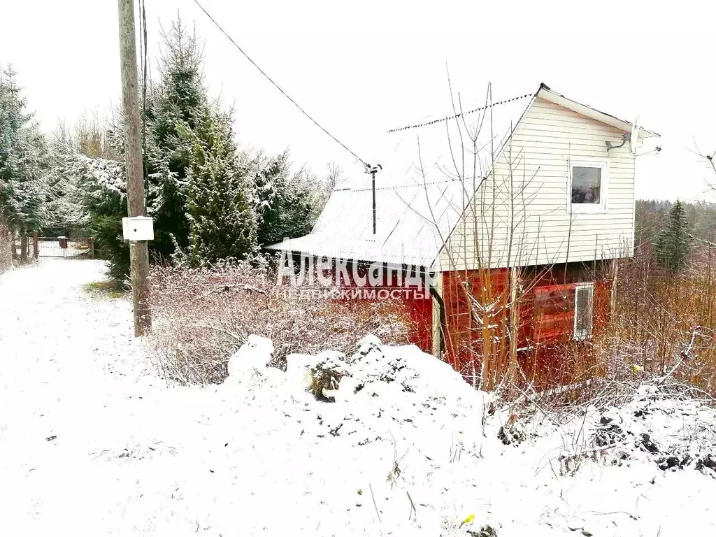 Дом в Ленинградская область, Приозерский район, Сосновское с/пос, ... - Фото 2