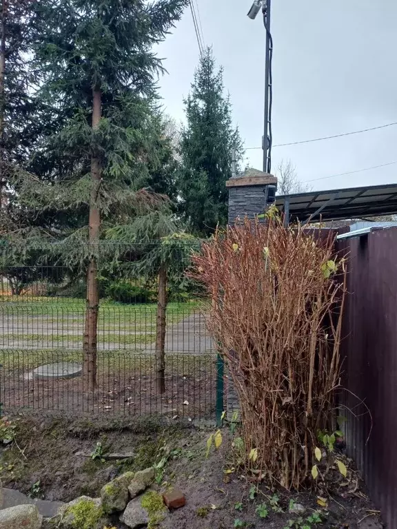 Дом в Калининградская область, Калининград Нескучное СНТ, 2-я линия, ... - Фото 2