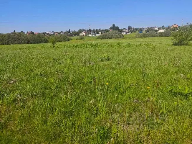 Участок в Московская область, Рузский муниципальный округ, д. Орешки  ... - Фото 1