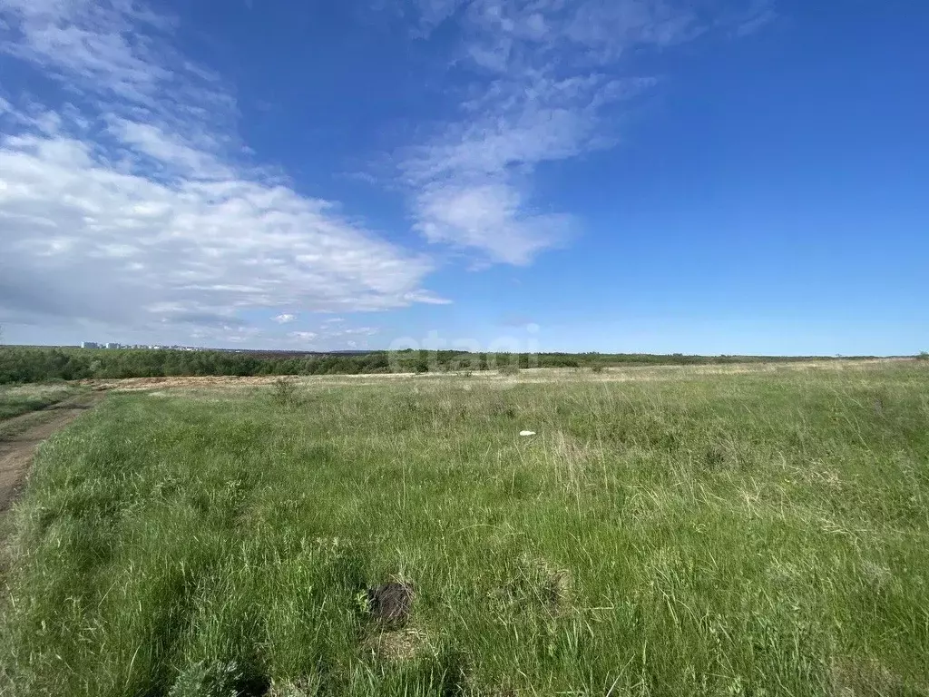 Долгий буерак. Долгий буерак. Дачи долгий буерак саратов. Долгий буерак. Долгий буерак саратов природа.