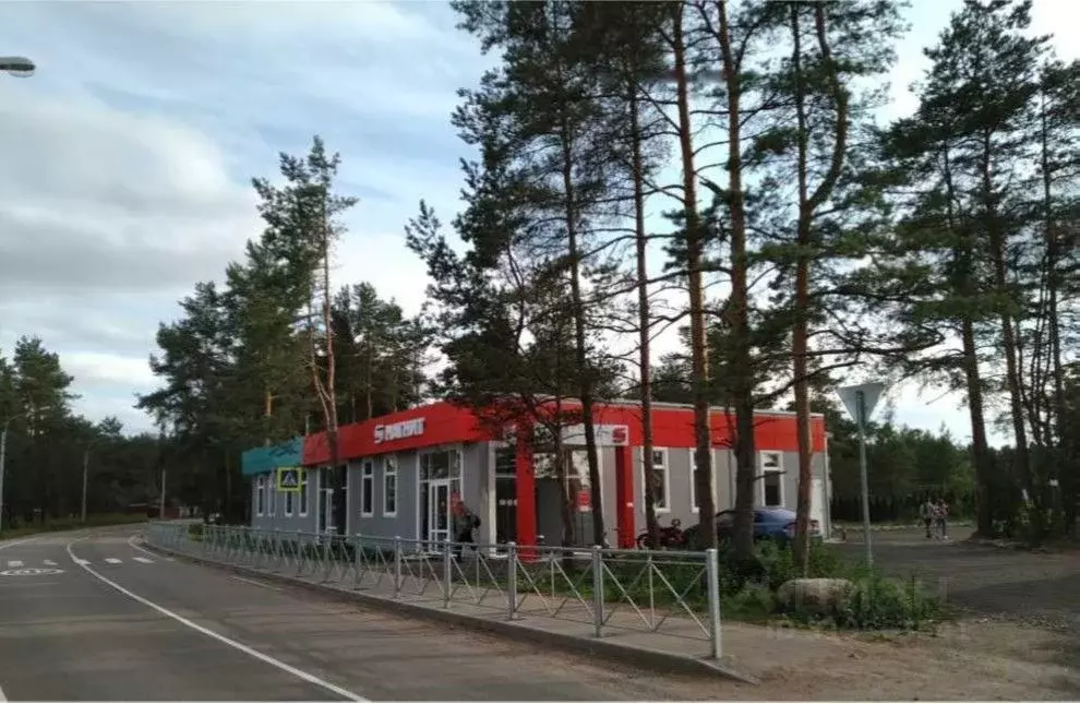 Торговая площадь в Ленинградская область, Выборгский район, Приморское ... - Фото 0