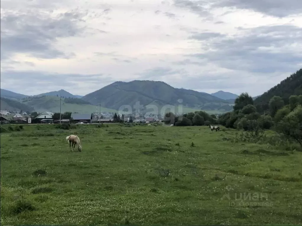 Участок в Алтай, Шебалинский район, с. Черга ул. Осипова (16.0 сот.) - Фото 1