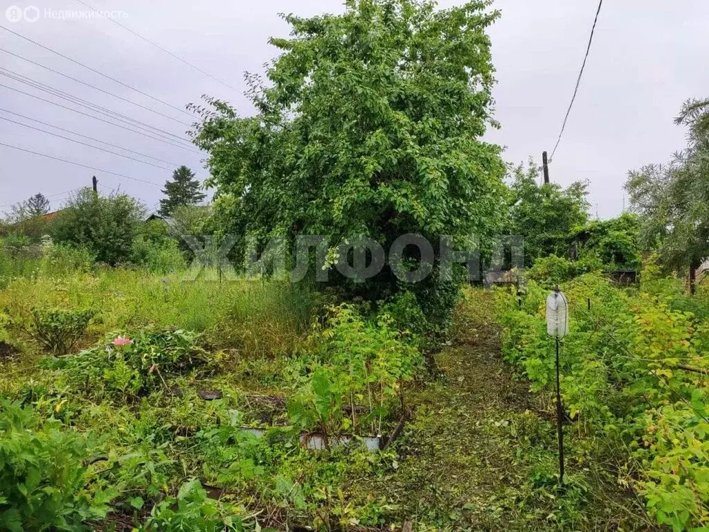 Участок в Новосибирск (6.29 м) - Фото 0